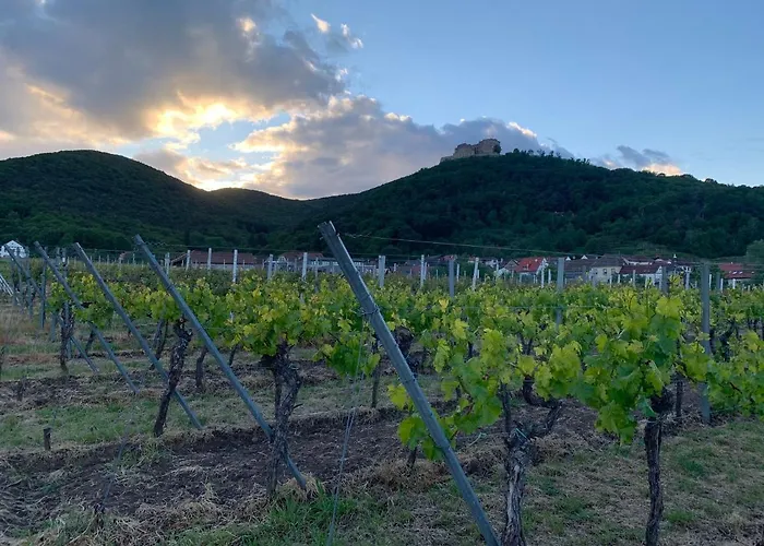 Hgh - Garni Helbig *