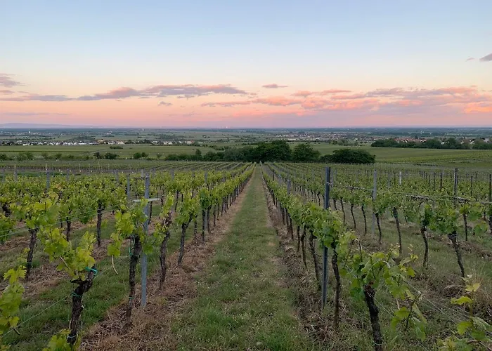 Hgh - Garni Helbig Hotel